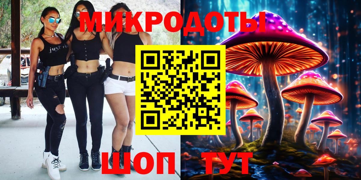 Галлюциногенные грибы Psilocybine cubensis Кольчугино