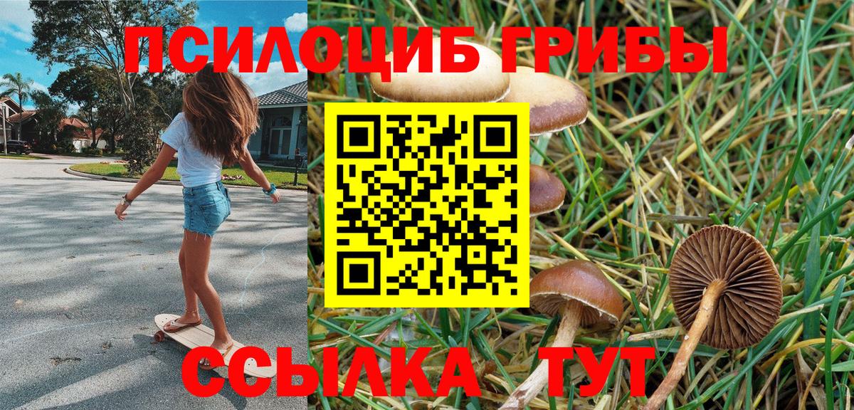 Галлюциногенные грибы прущие грибы  Вход с VPN  купить наркоту  Кольчугино 